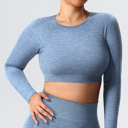 Pericic Amplify Seamless Long Sleeve Crop Gym Shirts For Women Workout Yoga Tops